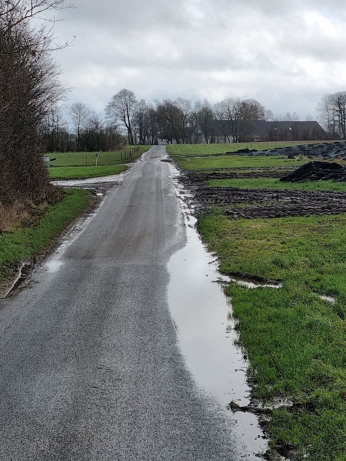 Afvanding før behandling